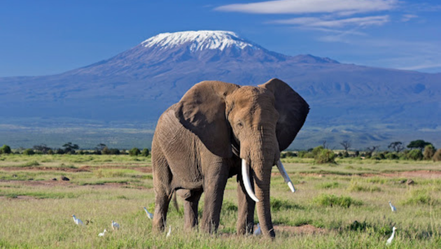 Mount Kilimanjaro